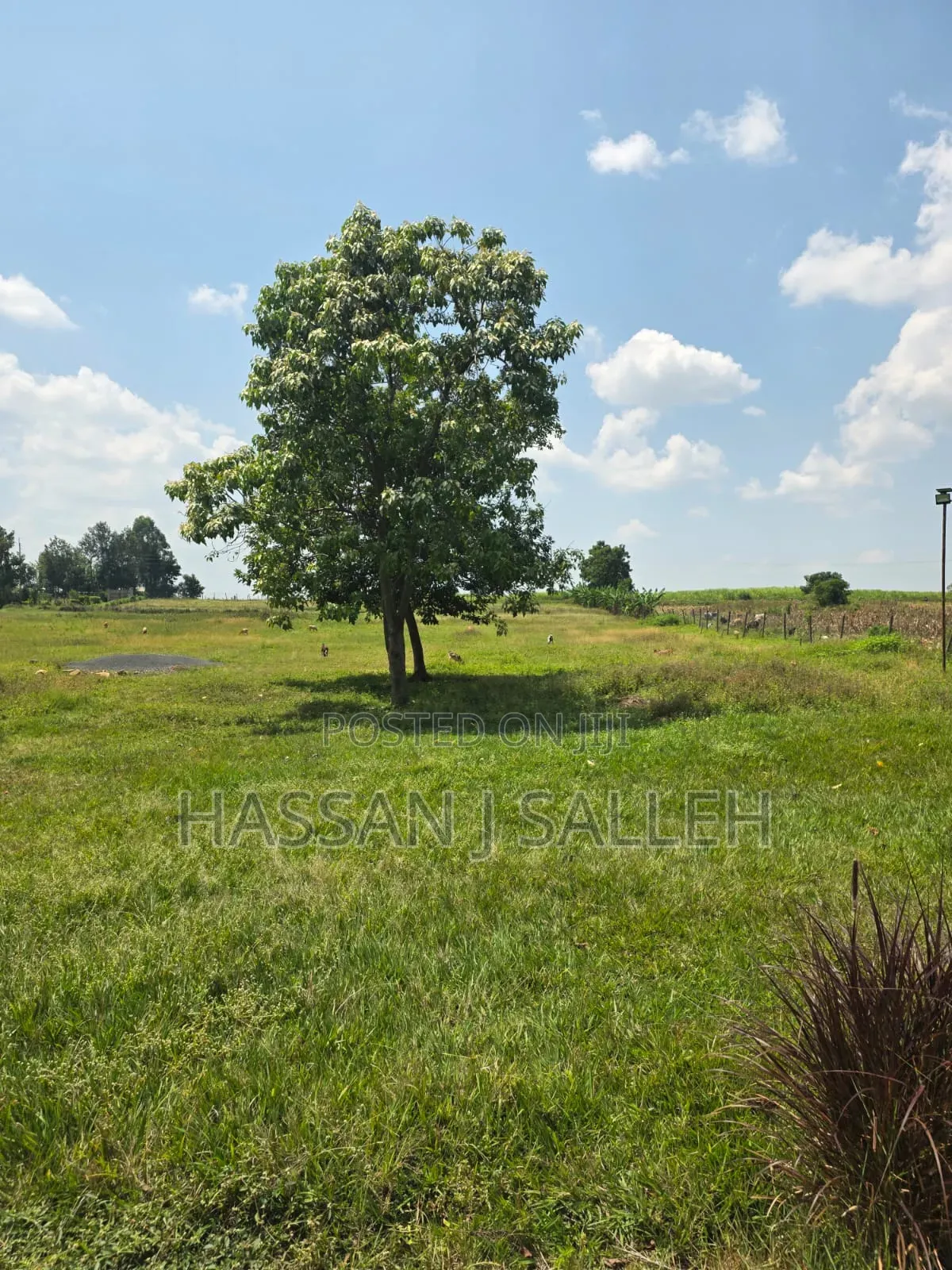 5acres Matungu 4 Sale in Khalaba (Matungu)