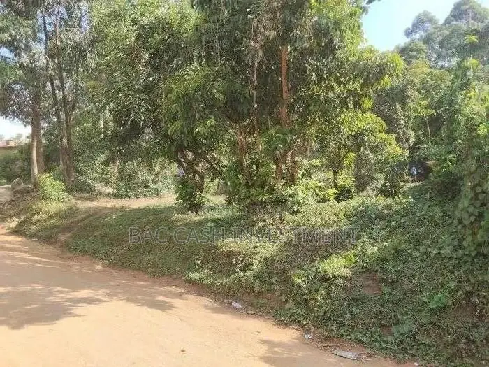 1/2acre Land/Plots for Sale in Kakamega in Sheywe