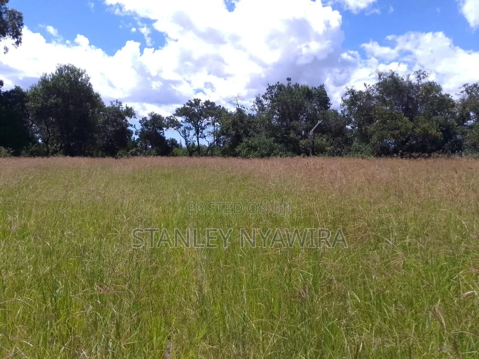 One Acre Just Behind Nanyuki Airstrip in Nanyuki