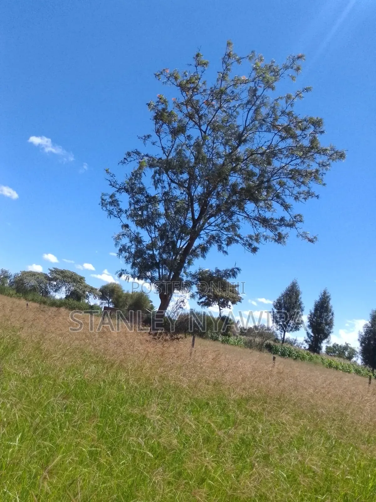 One Acre Just Behind Nanyuki Airstrip in Nanyuki