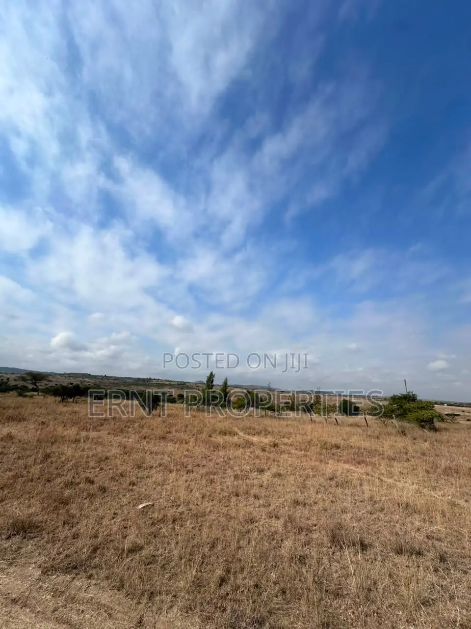 Quick Sale – 1⁄4 Acre Land for Sale | Kinaine, Athi River in Kinanie