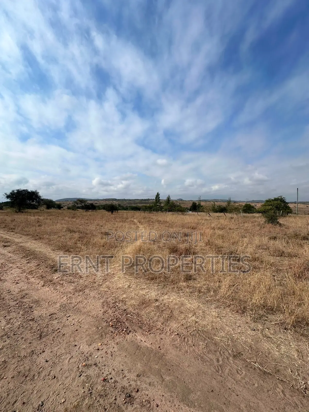 Quick Sale – 1⁄4 Acre Land for Sale | Kinaine, Athi River in Kinanie