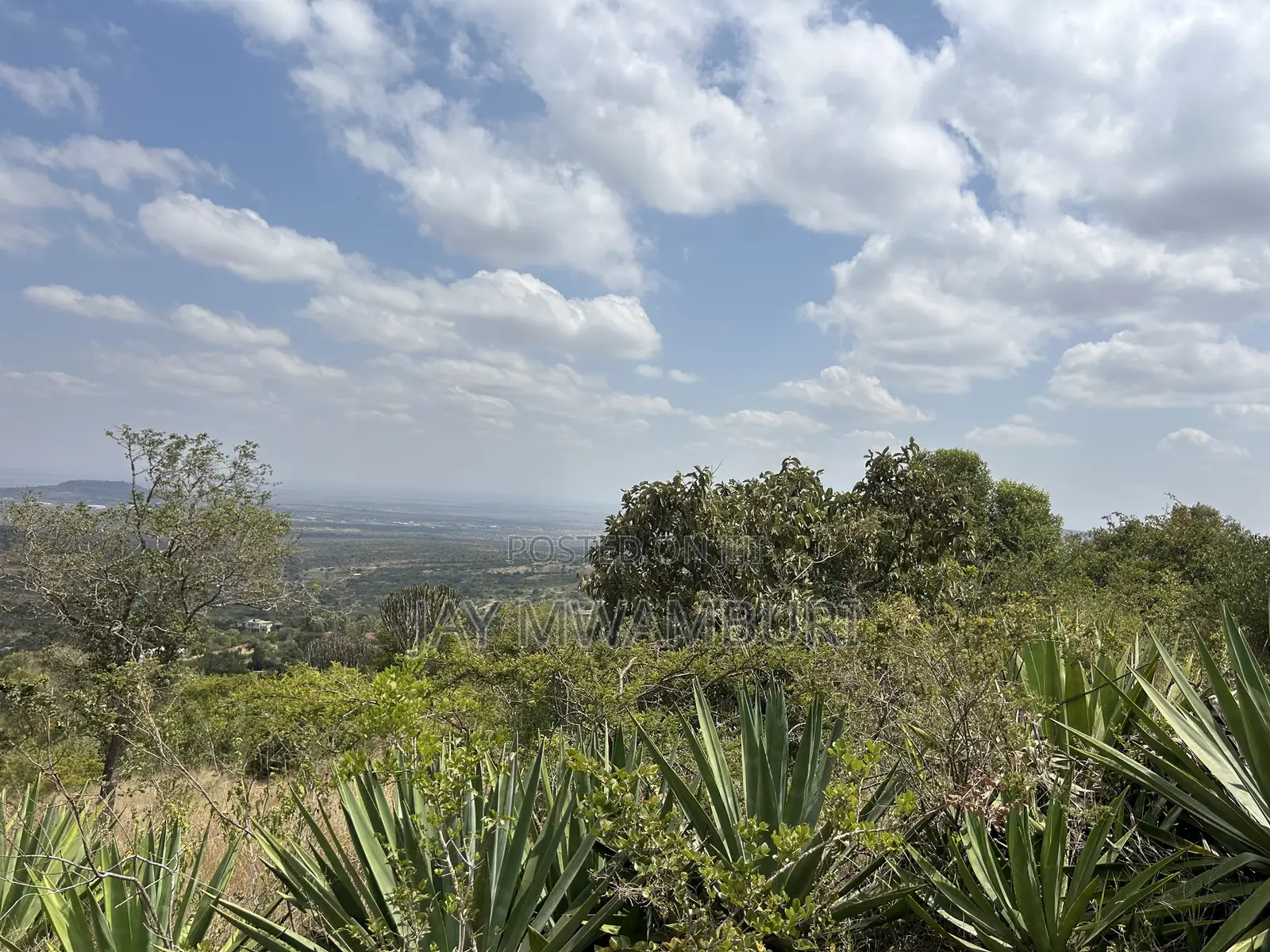 1.8 Acre Mua Hills in Mua Hills