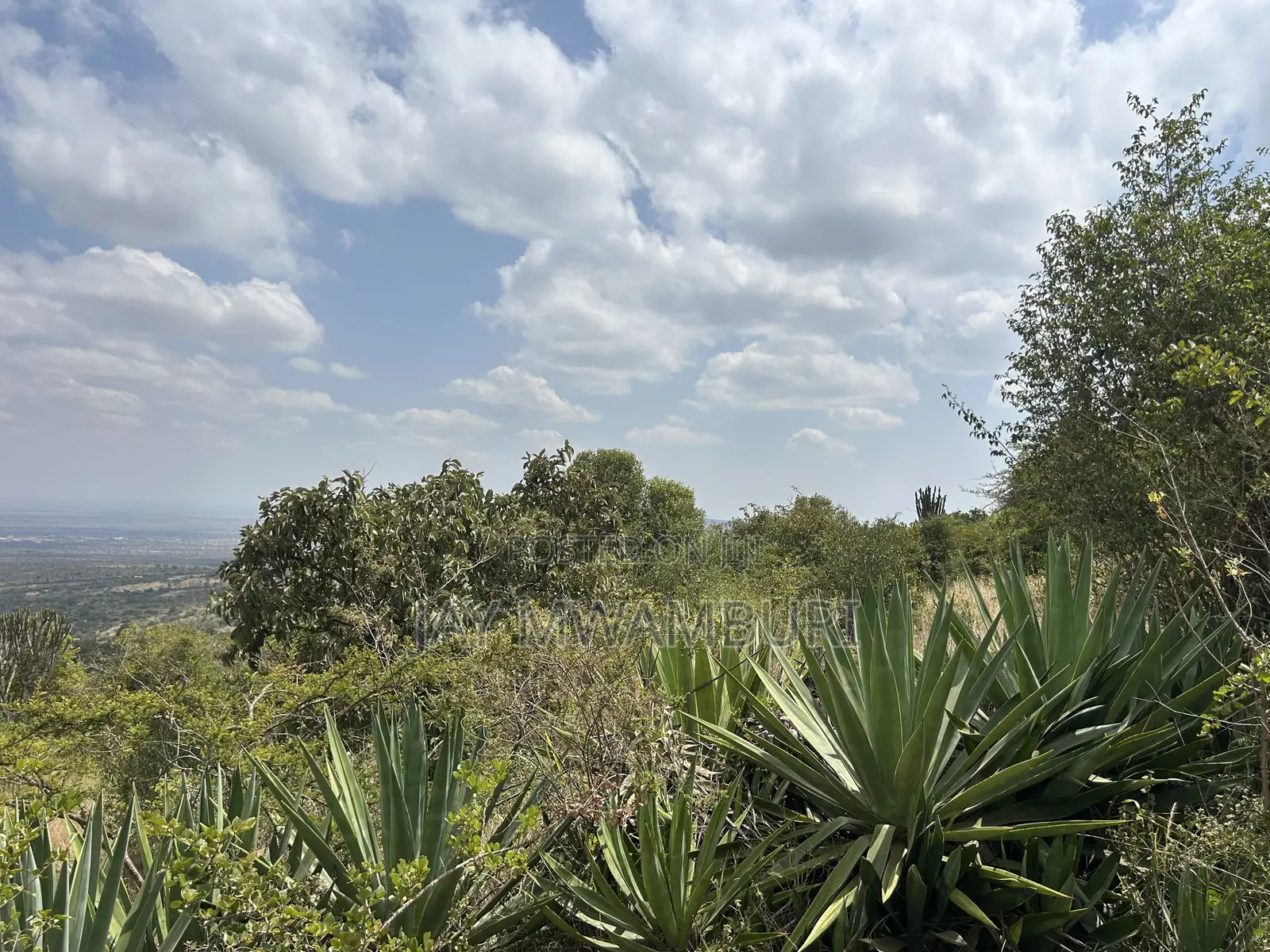 1.8 Acre Mua Hills in Mua Hills