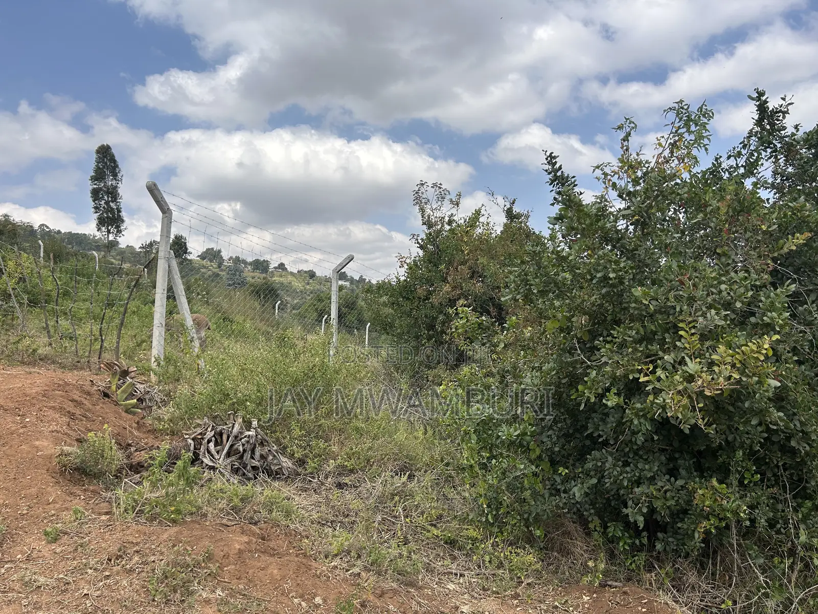 1.8 Acre Mua Hills in Mua Hills