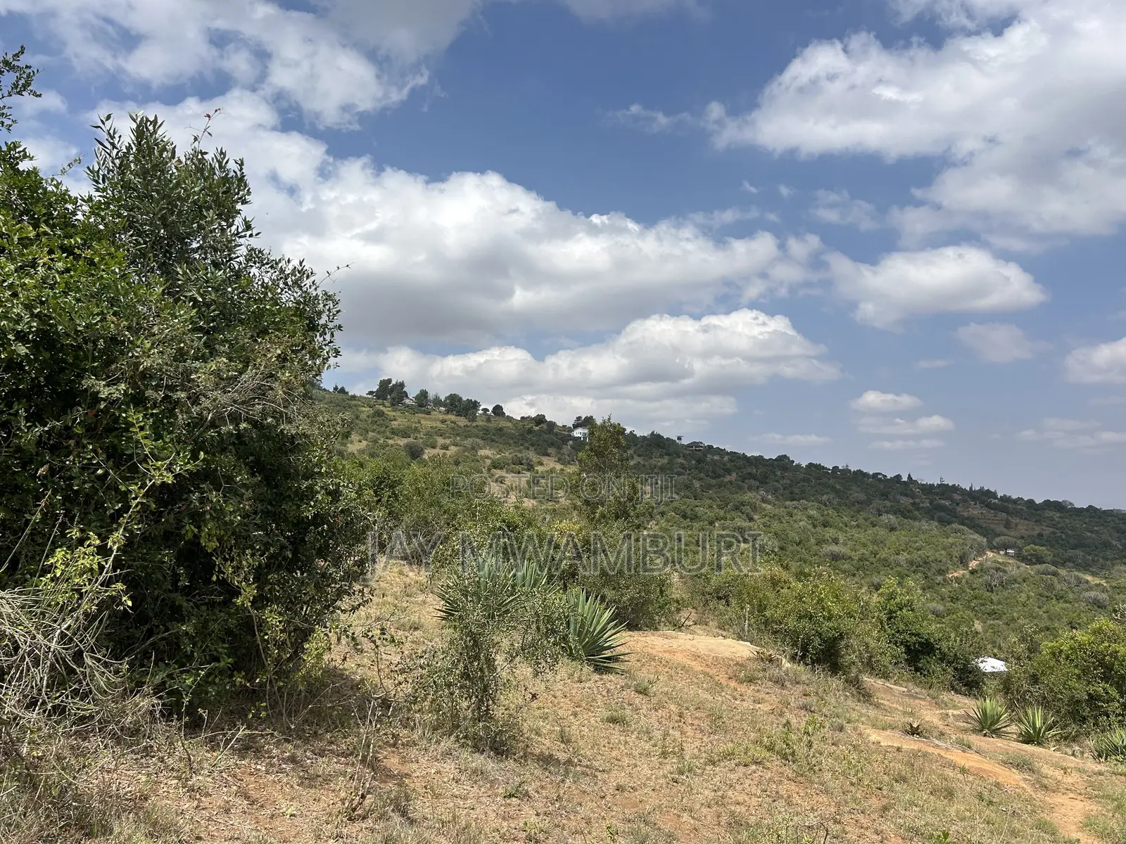 1.8 Acre Mua Hills in Mua Hills