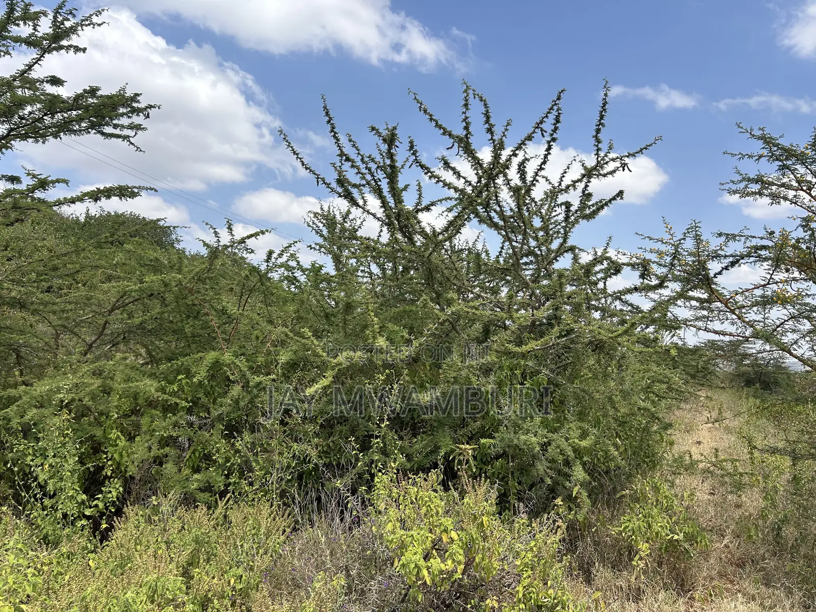 1 1/2 Acre Mua Hills in Mua