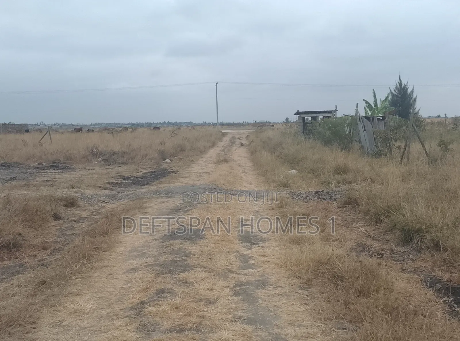 50 by 100 Plot in Kangundo Central