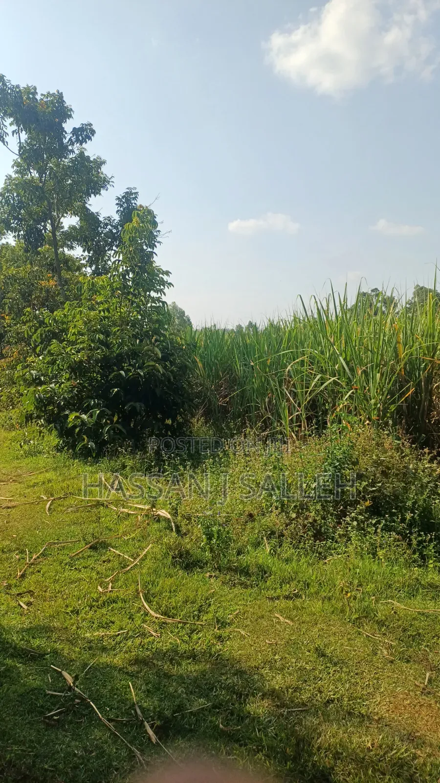 4.5acres Land on Sale. in Musanda