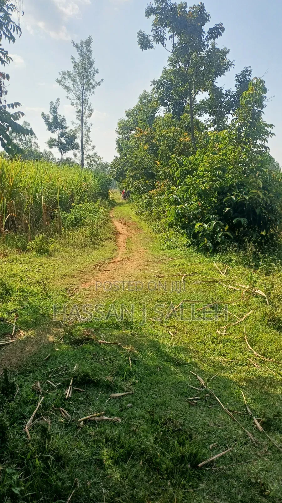 4.5acres Land on Sale. in Musanda