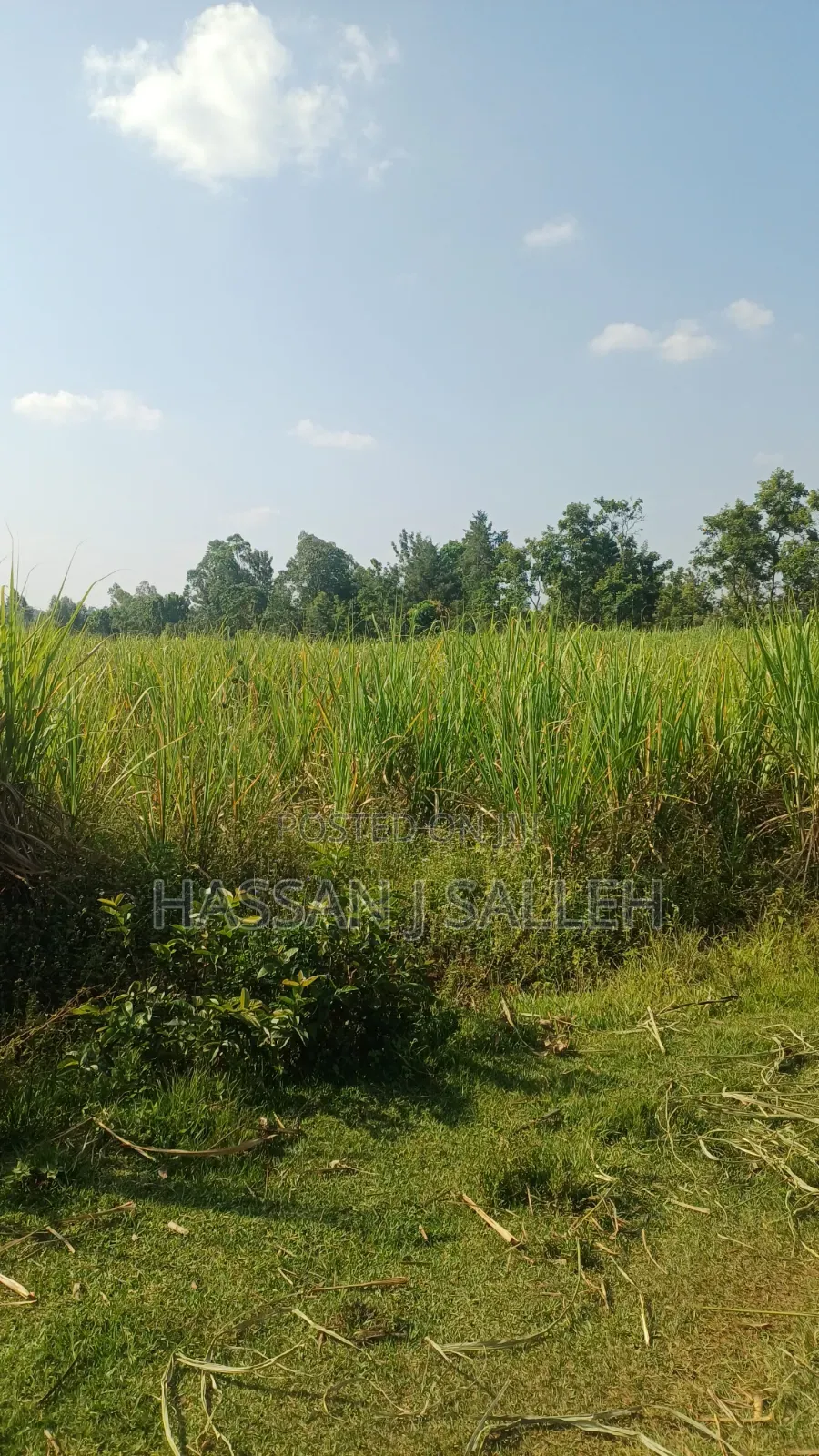 4.5acres Land on Sale. in Musanda