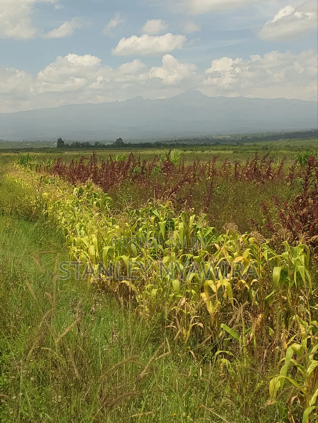 47 Acreas Farmland Nanyuki Mukima in Nanyuki