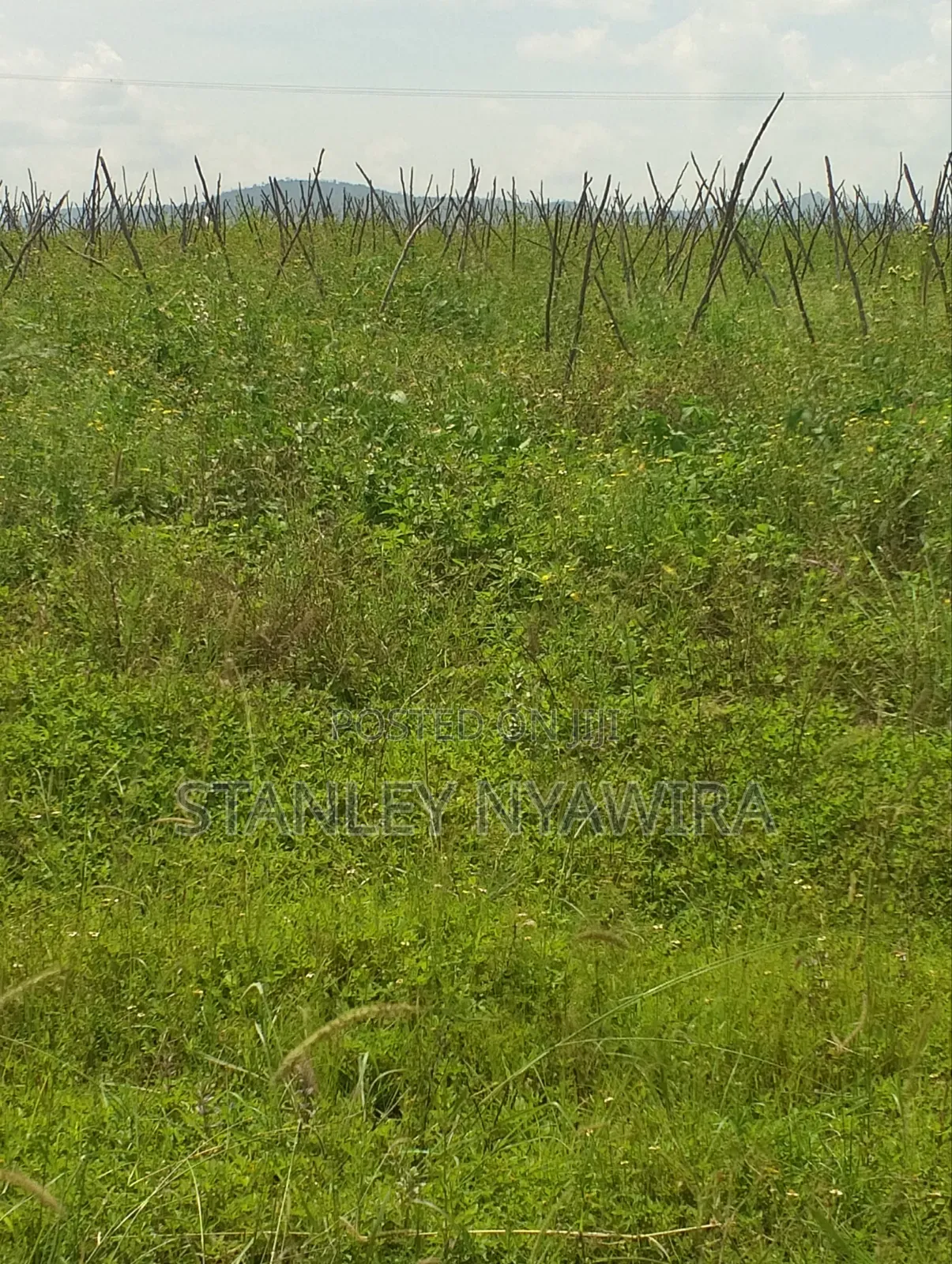 47 Acreas Farmland Nanyuki Mukima in Nanyuki