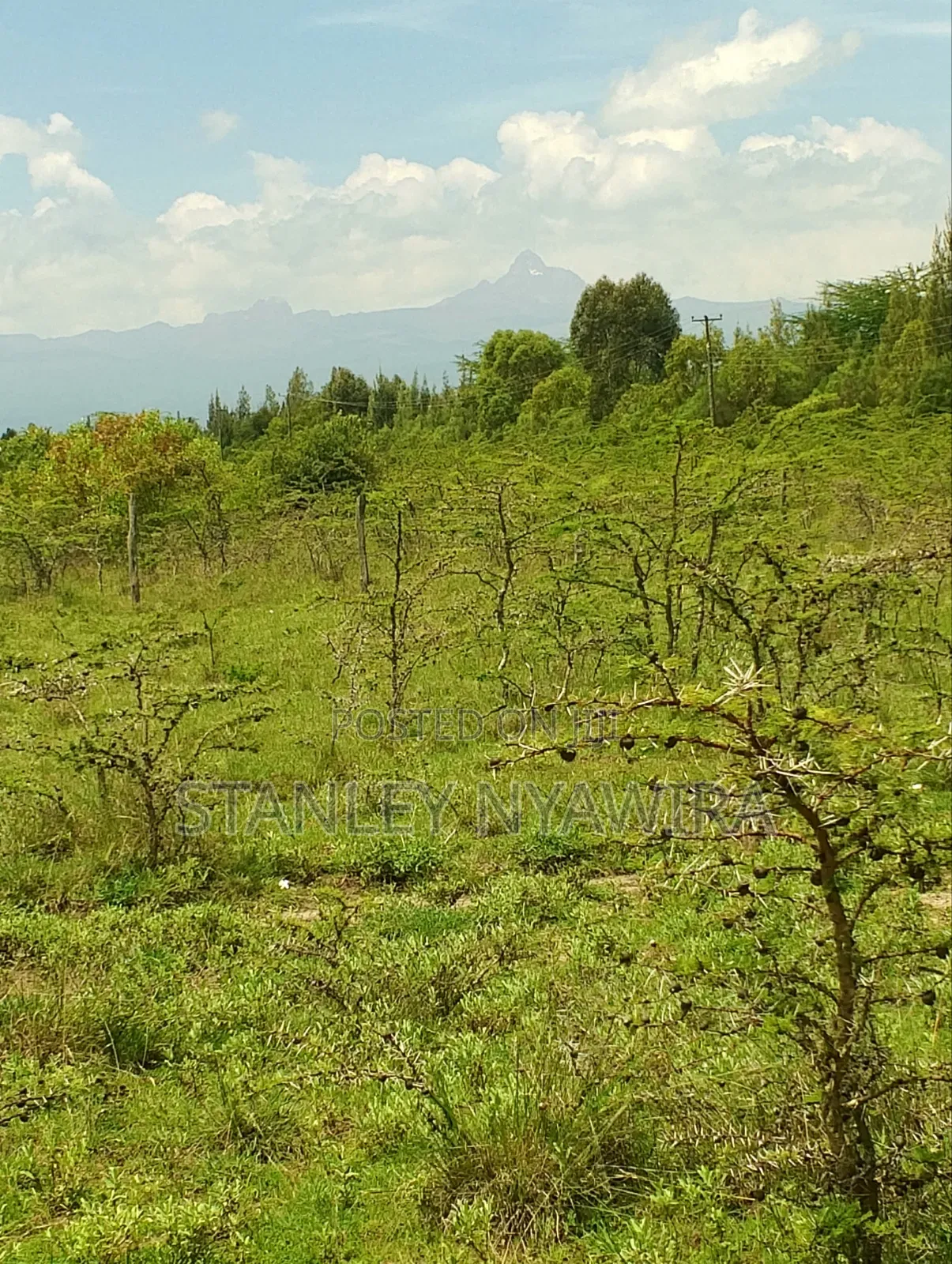 47 Acreas Farmland Nanyuki Mukima in Nanyuki