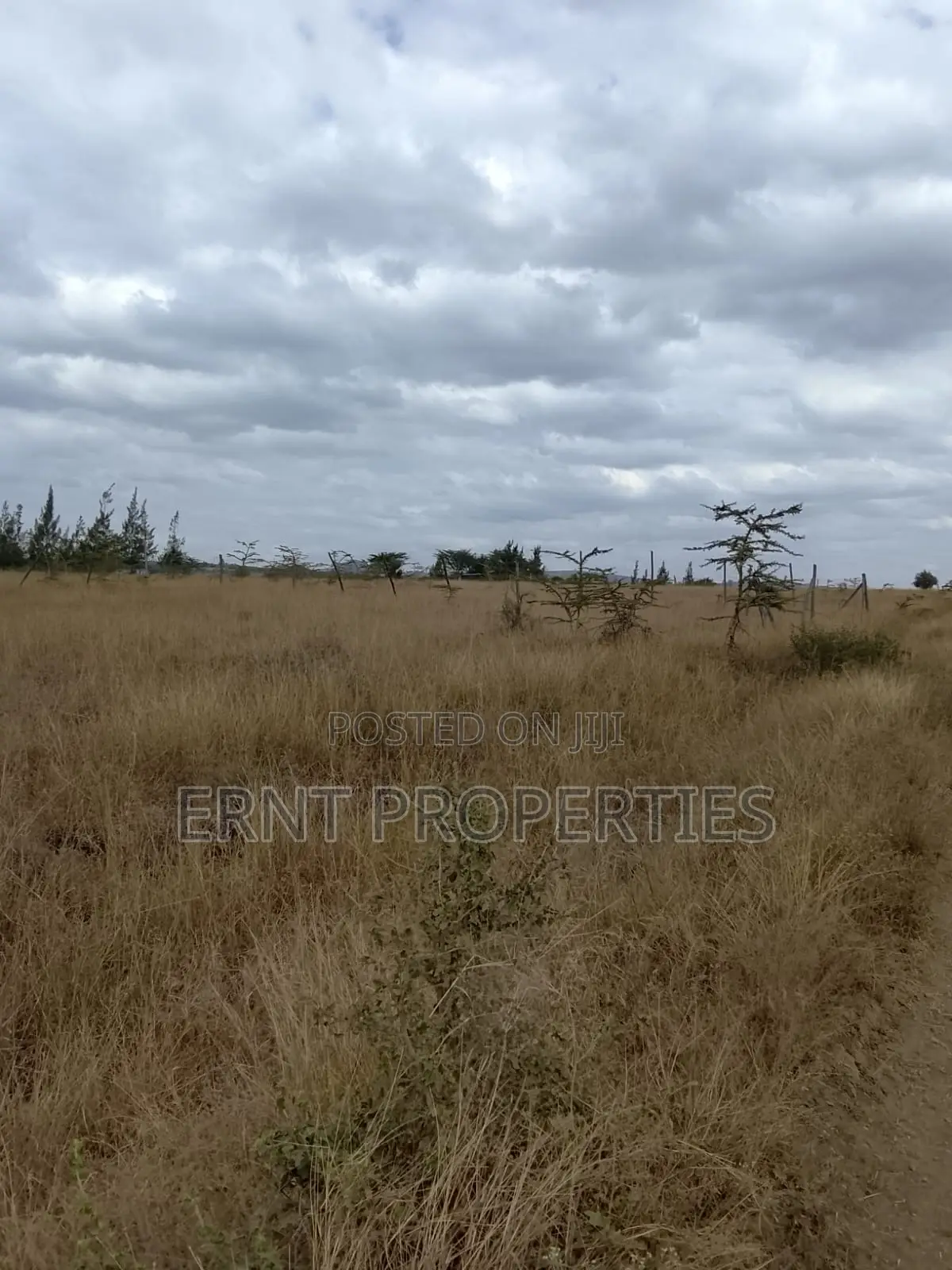 Quick Sale – 1⁄4 Acre Land for Sale | Kinaine, Athi River in Kinanie