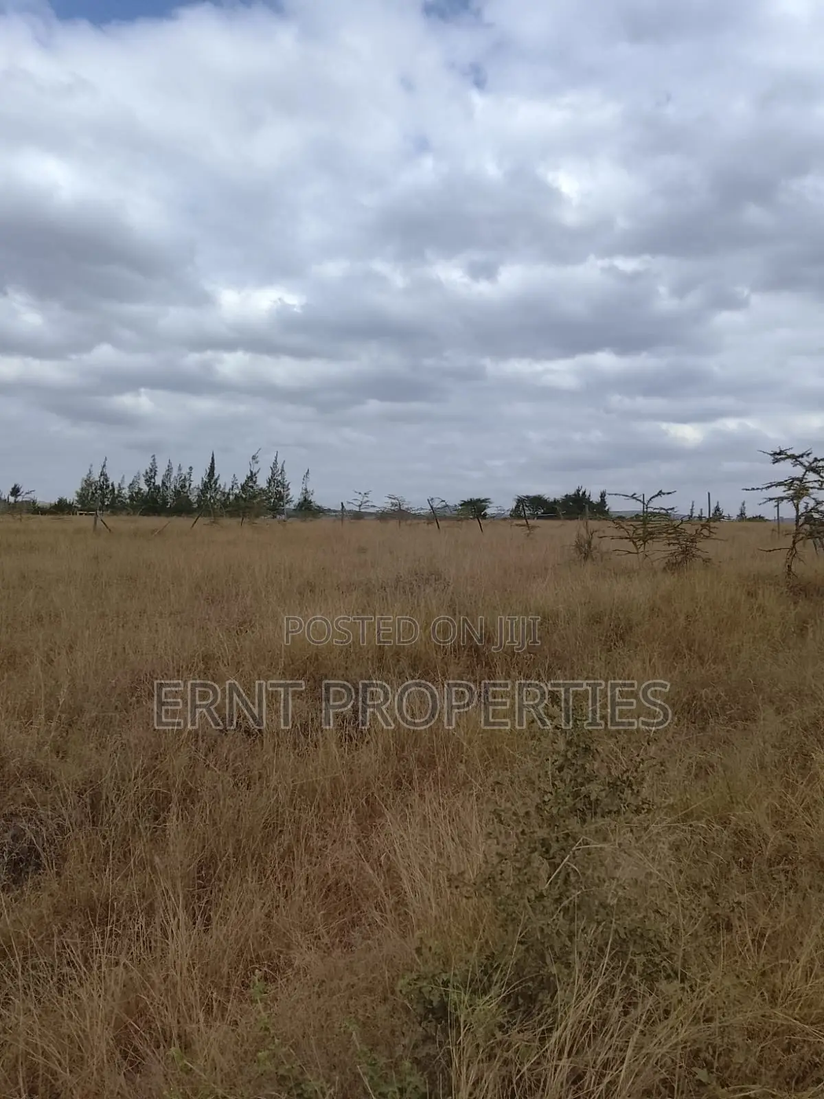 Quick Sale – 1⁄4 Acre Land for Sale | Kinaine, Athi River in Kinanie
