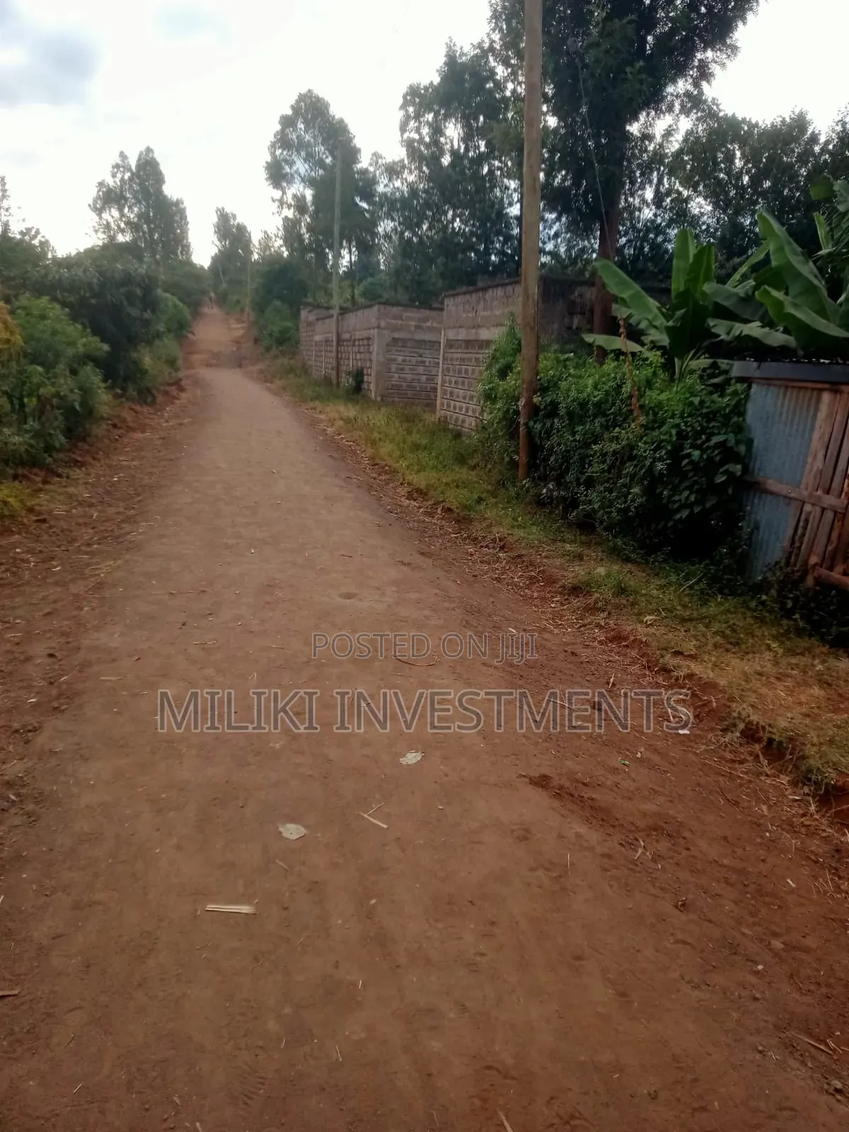 50 by 100 Plots at Kenol-Kimorori in Kimorori/Wempa