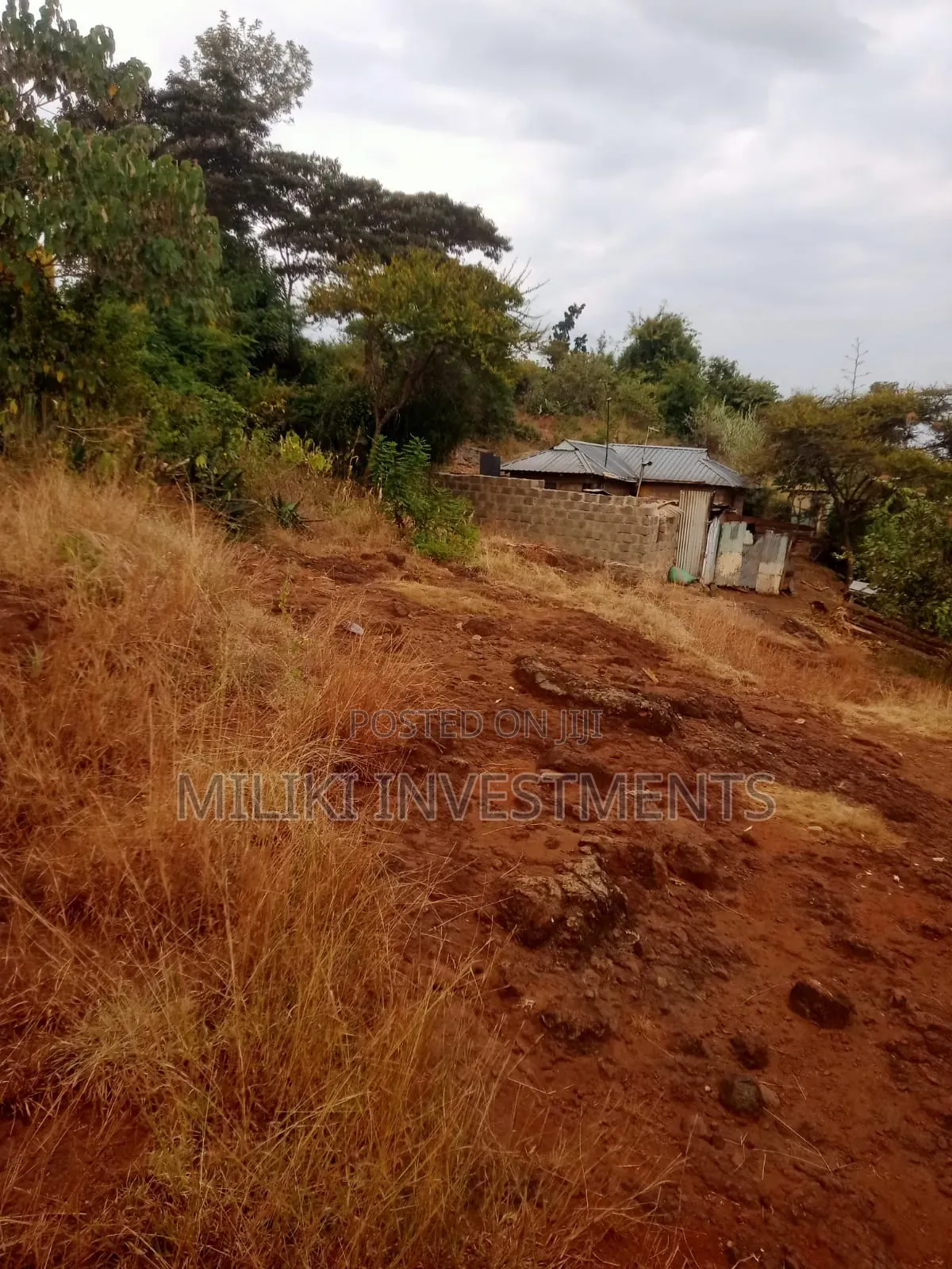 50 by 100 Plots at Kenol-Kimorori in Kimorori/Wempa