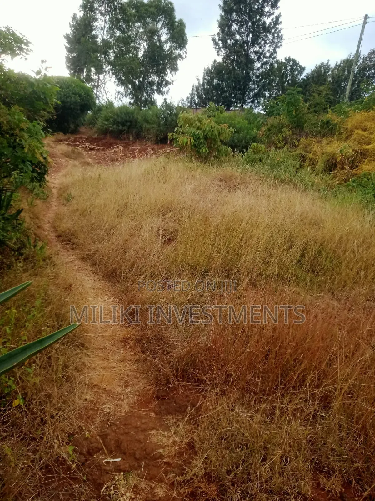 50 by 100 Plots at Kenol-Kimorori in Kimorori/Wempa