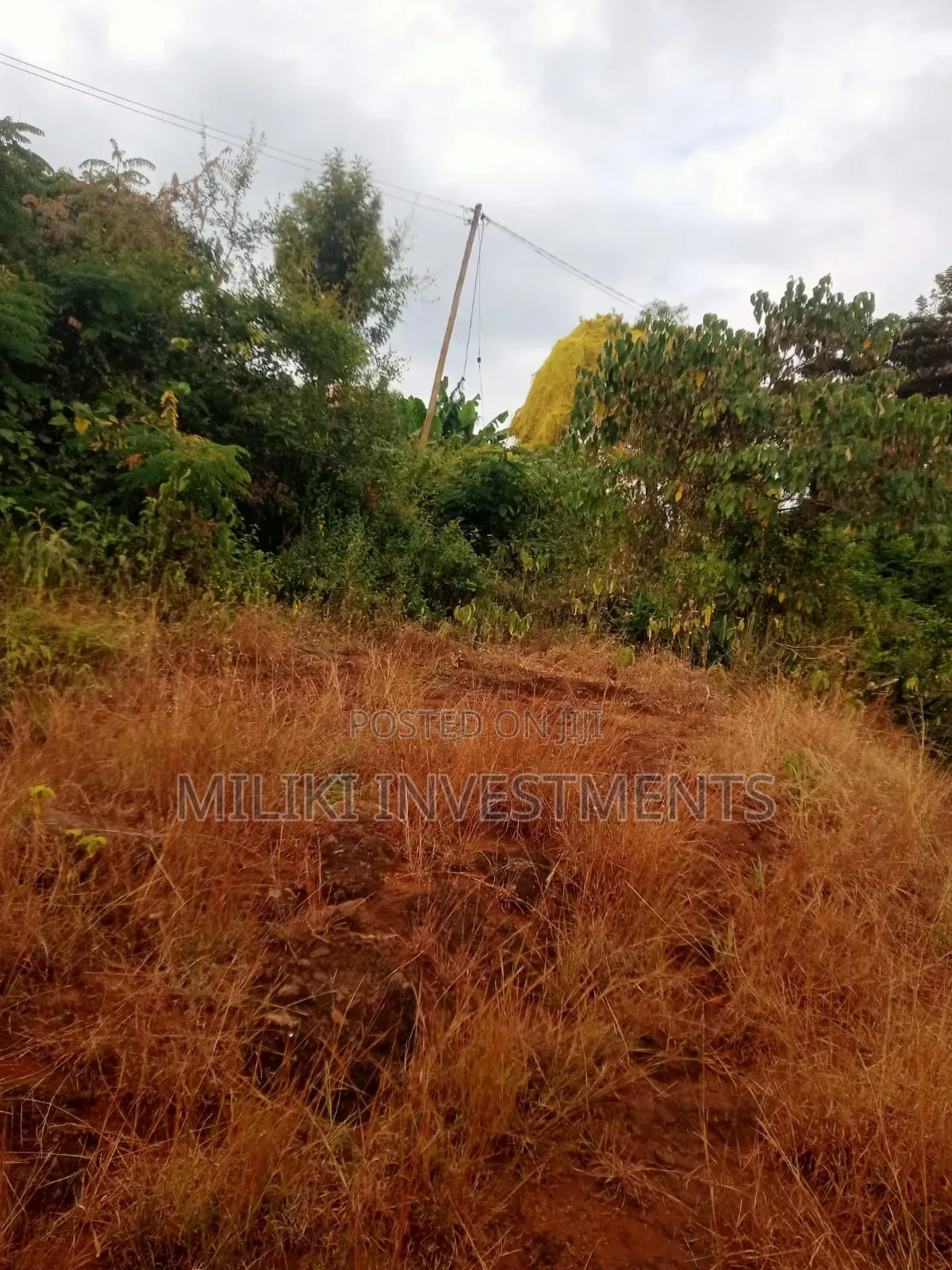 50 by 100 Plots at Kenol-Kimorori in Kimorori/Wempa