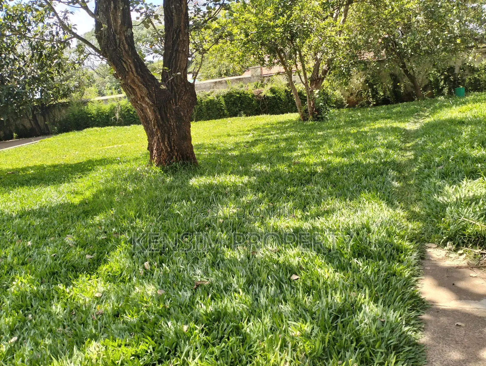 Land for Sale in Lavington in Maziwa