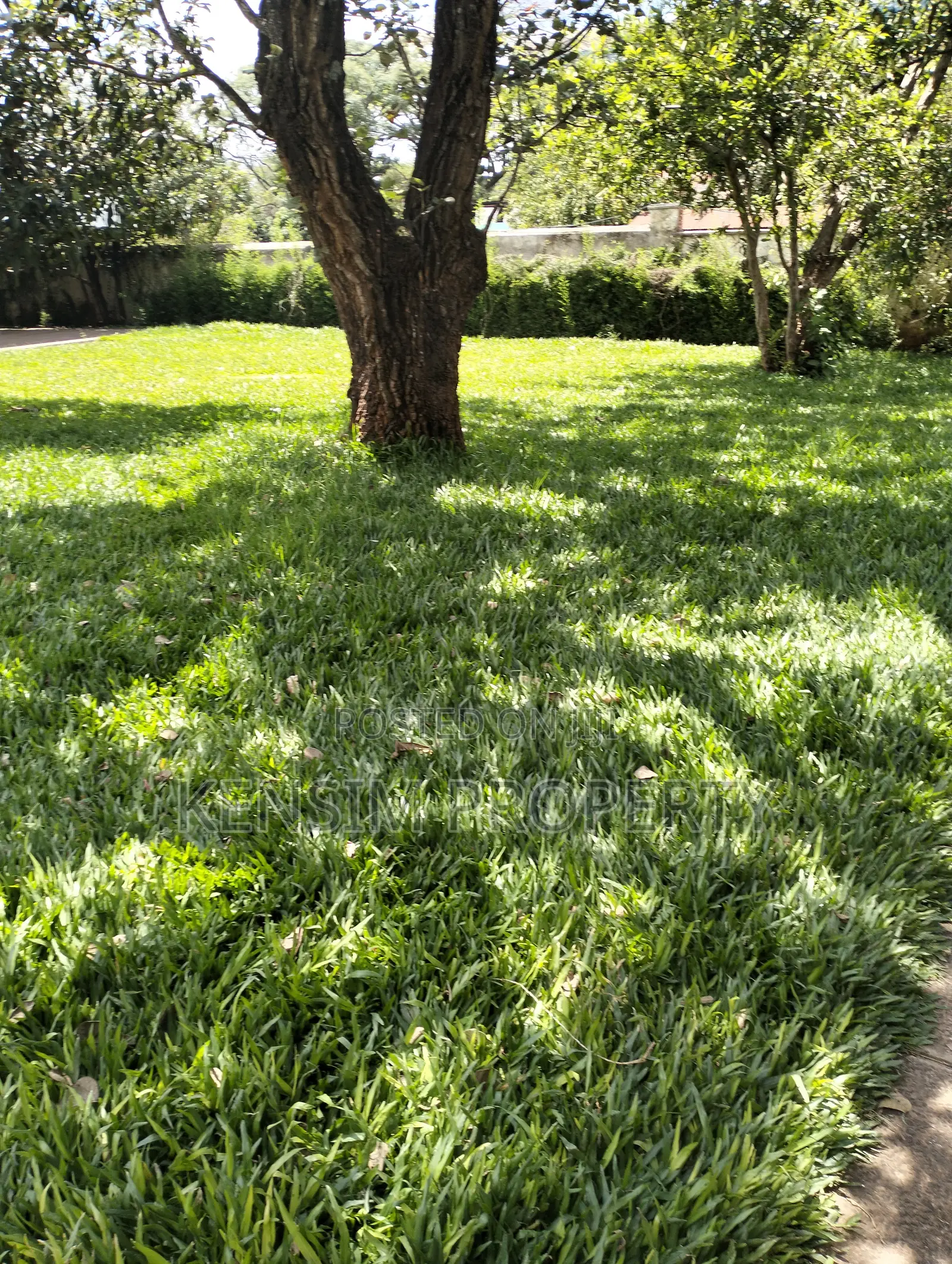Land for Sale in Lavington in Maziwa