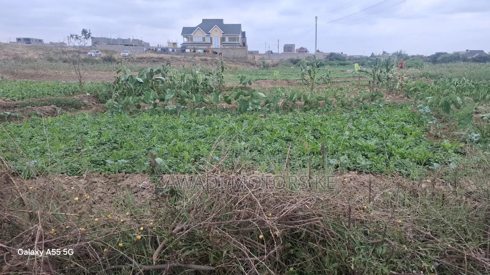 Mwiki Kasarani Prime Plots in Mwiki