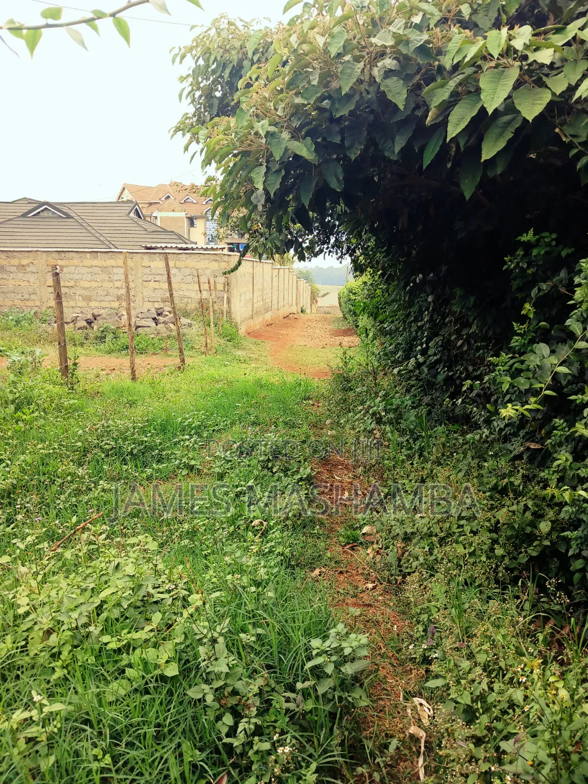 50 by 100ft Prime Plot in Gikambura Near Kilimo Hotel in Thogoto