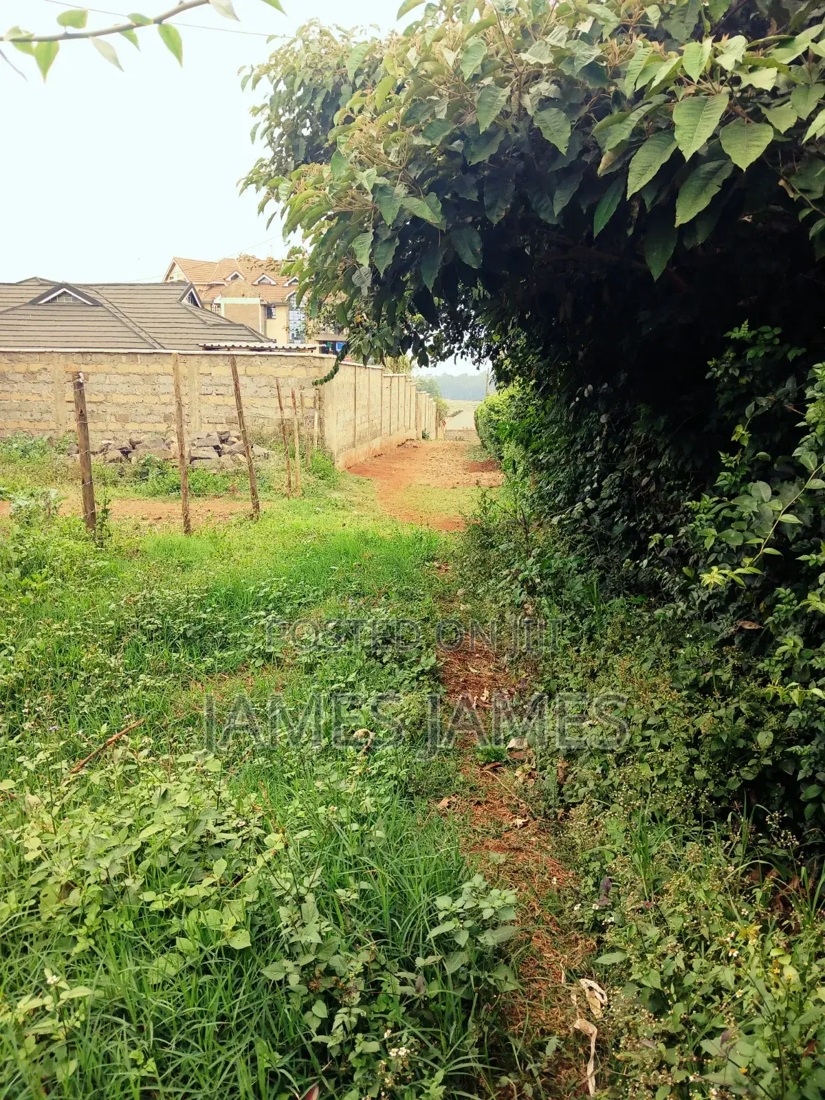 50 by 100ft Prime Plot in Gikambura Opposite Kilimo Hotel in Thogoto