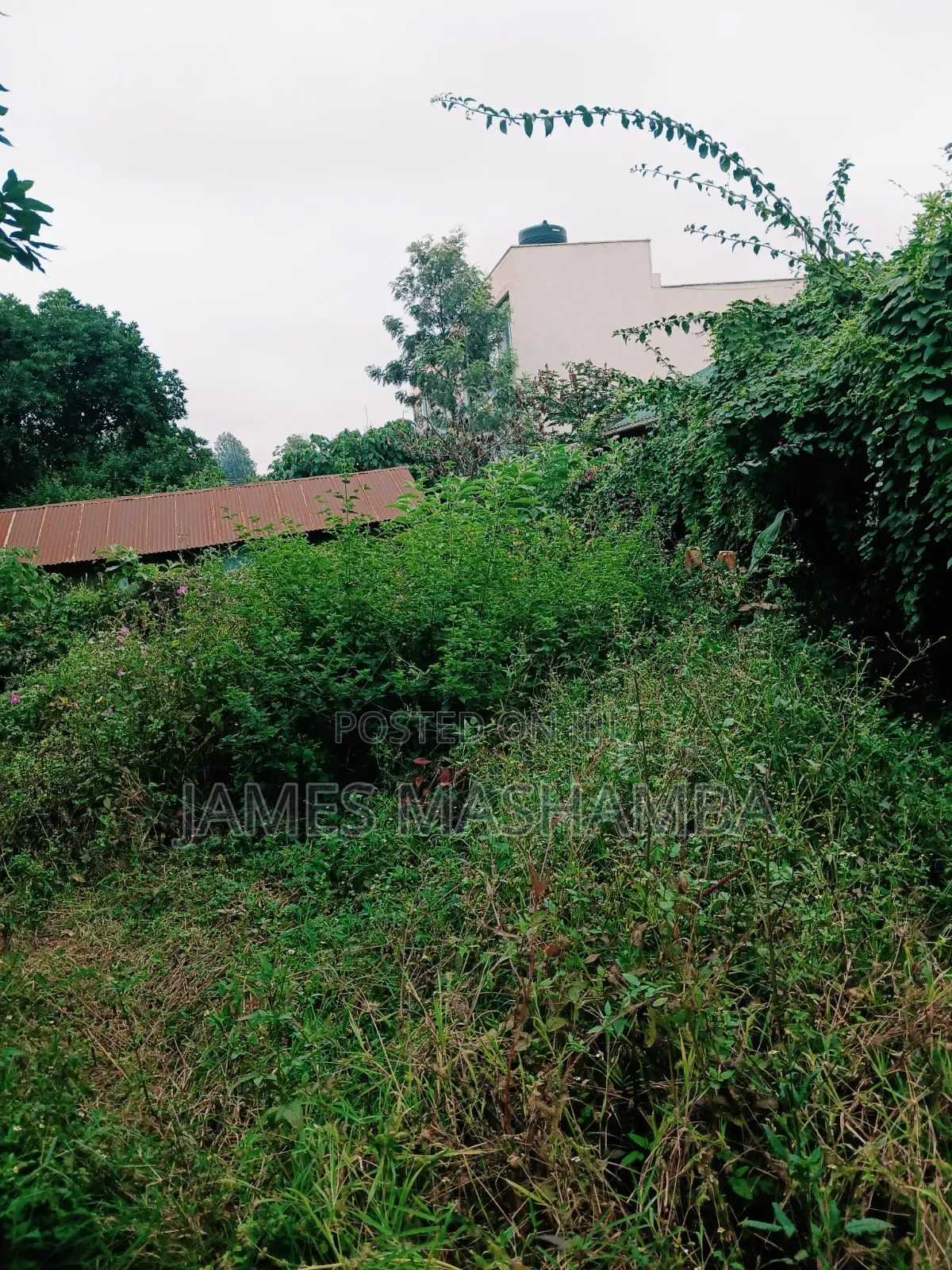 50 by 100ft Prime Plot in Gikambura Near Kilimo Hotel in Thogoto