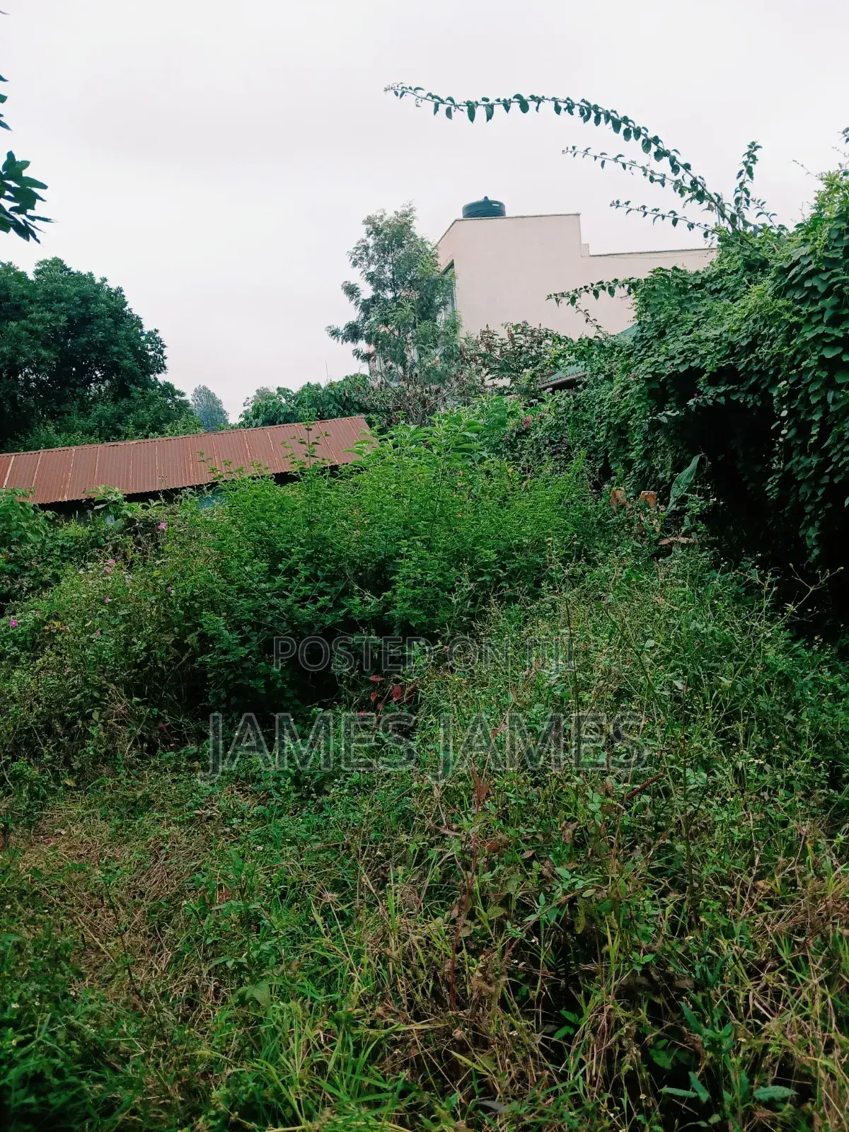 50 by 100ft Prime Plot in Gikambura Opposite Kilimo Hotel in Thogoto