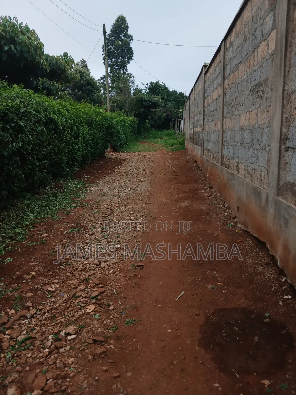 50 by 100ft Prime Plot in Gikambura Near Kilimo Hotel in Thogoto