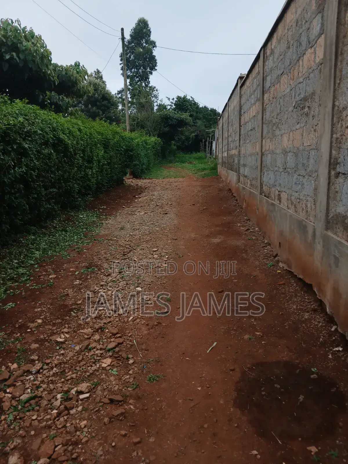 50 by 100ft Prime Plot in Gikambura Opposite Kilimo Hotel in Thogoto