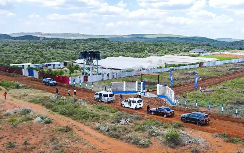 Kimuka Prime Plots With Ready Titles^MW in Ol Keri