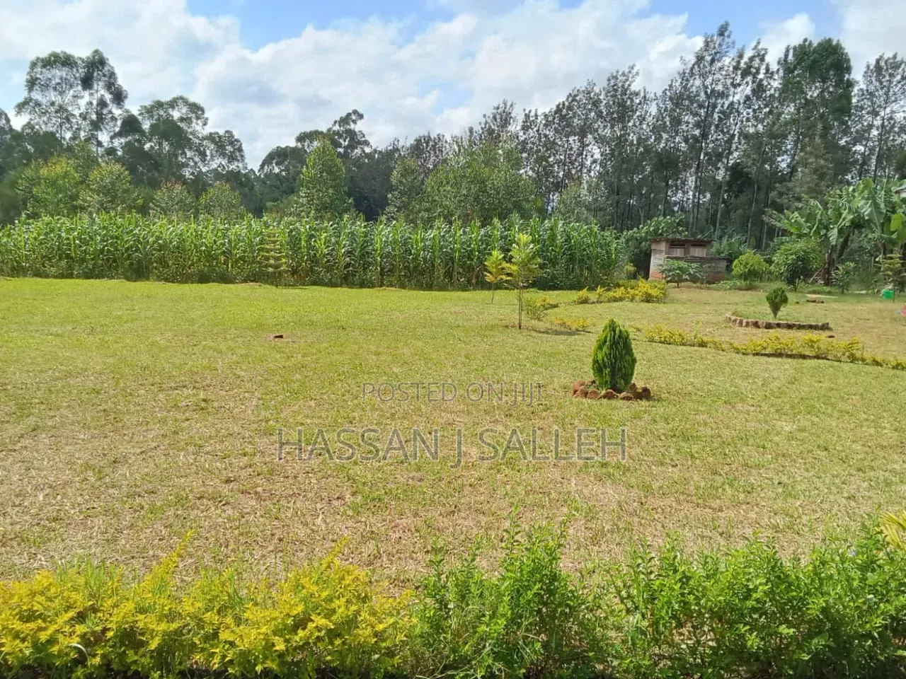 1bdrm Bungalow in Shitao, Isukha Central for sale in Isukha Central