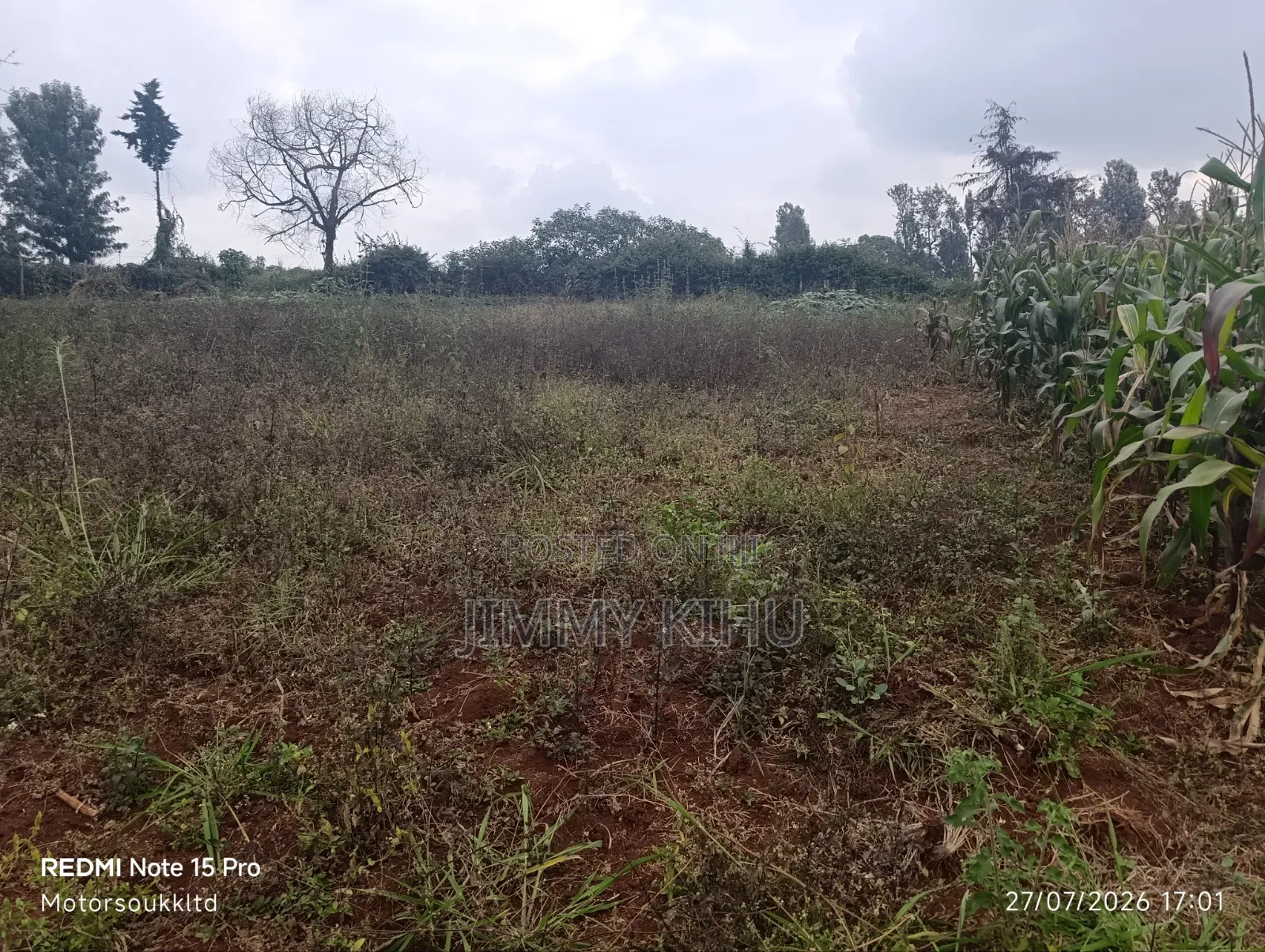 Kiukenda Plots on Sale. in Kiuu