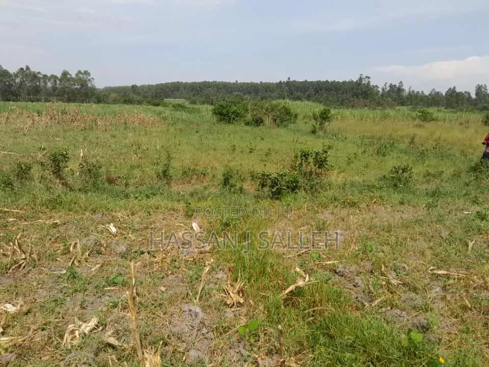 3a Land for Sale Matungu in Khalaba (Matungu)