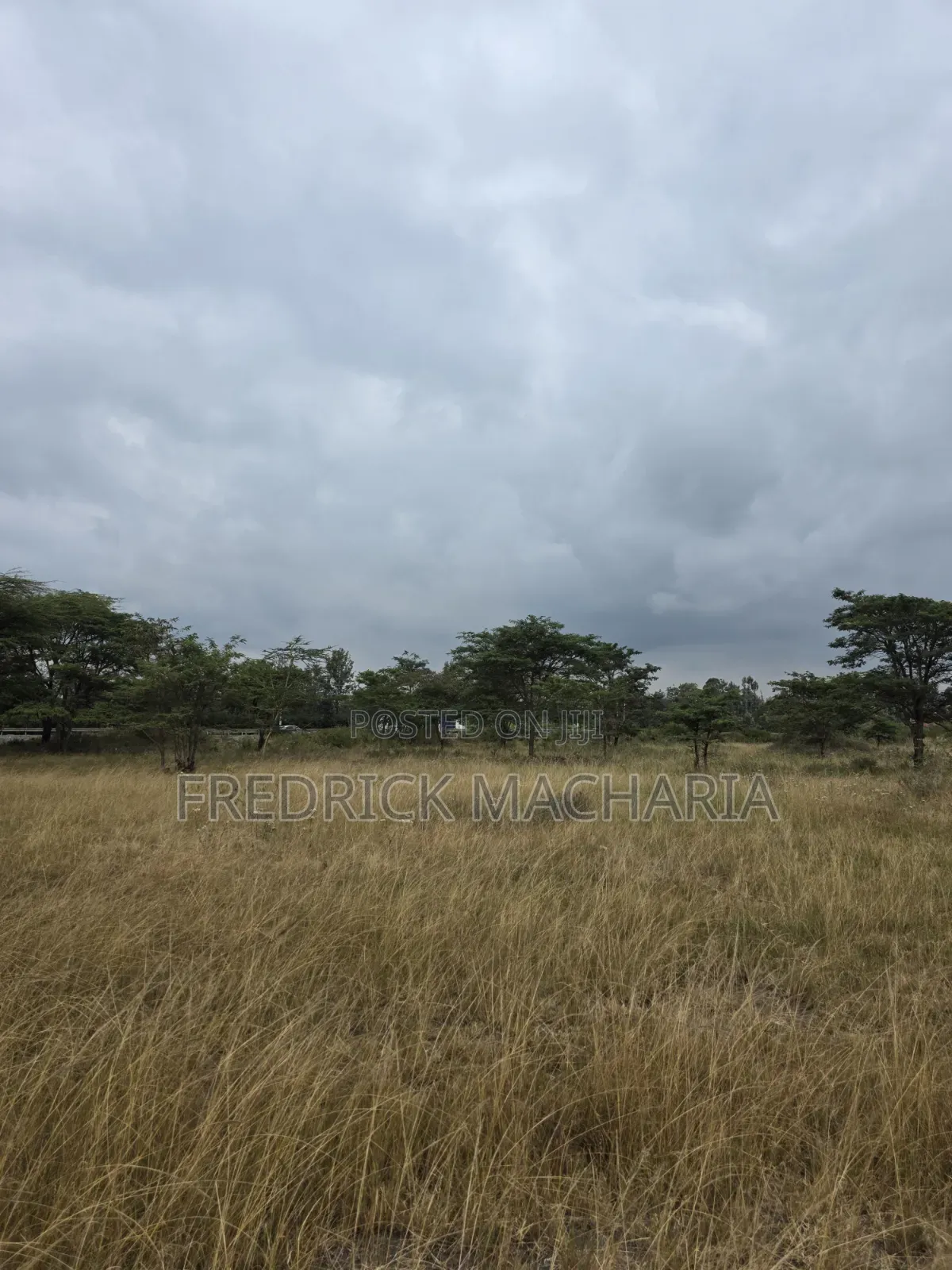 2 Acres for Sale at Kenol in Makuyu