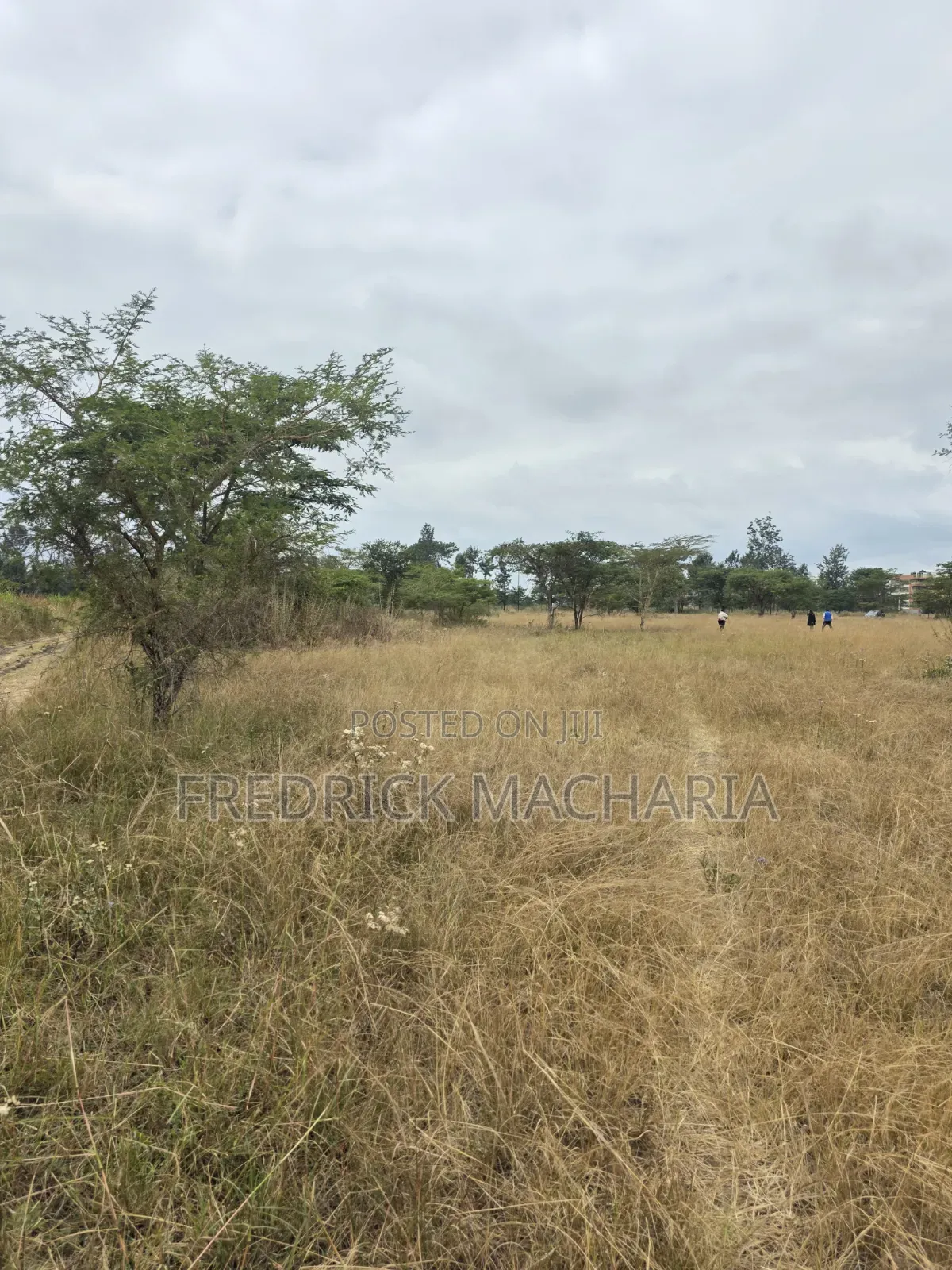 2 Acres for Sale at Kenol in Makuyu