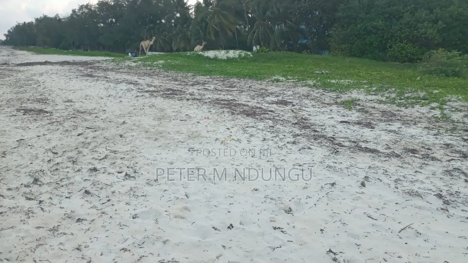 Nyali Mombasa-White Sandy Beach, 1 Acre in Nyali Mkomani