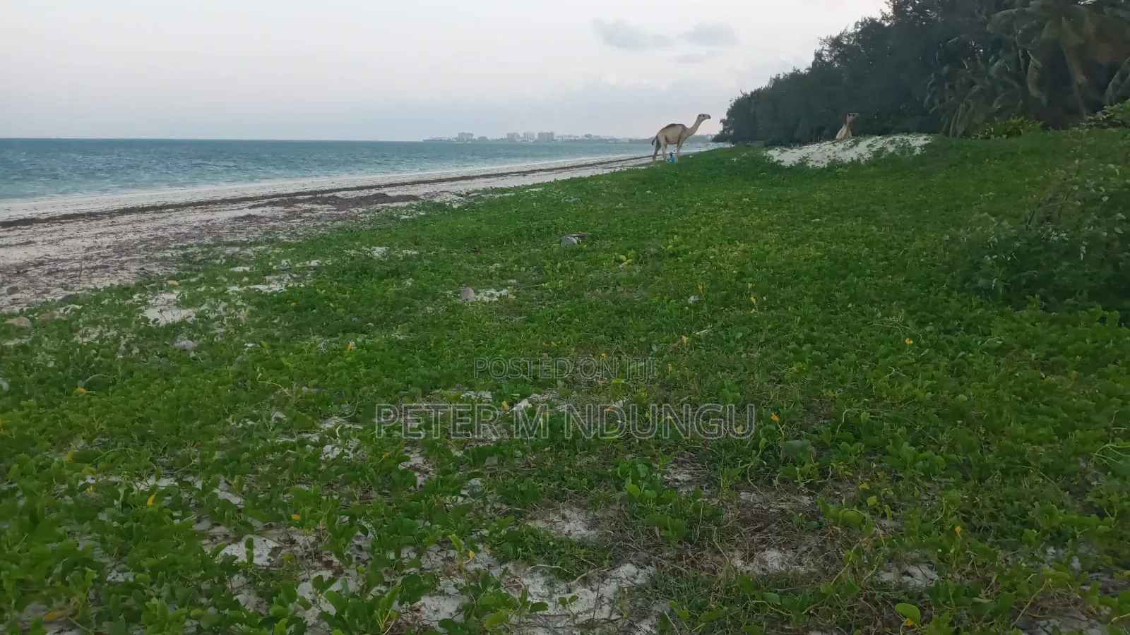 Nyali Mombasa-White Sandy Beach, 1 Acre in Nyali Mkomani