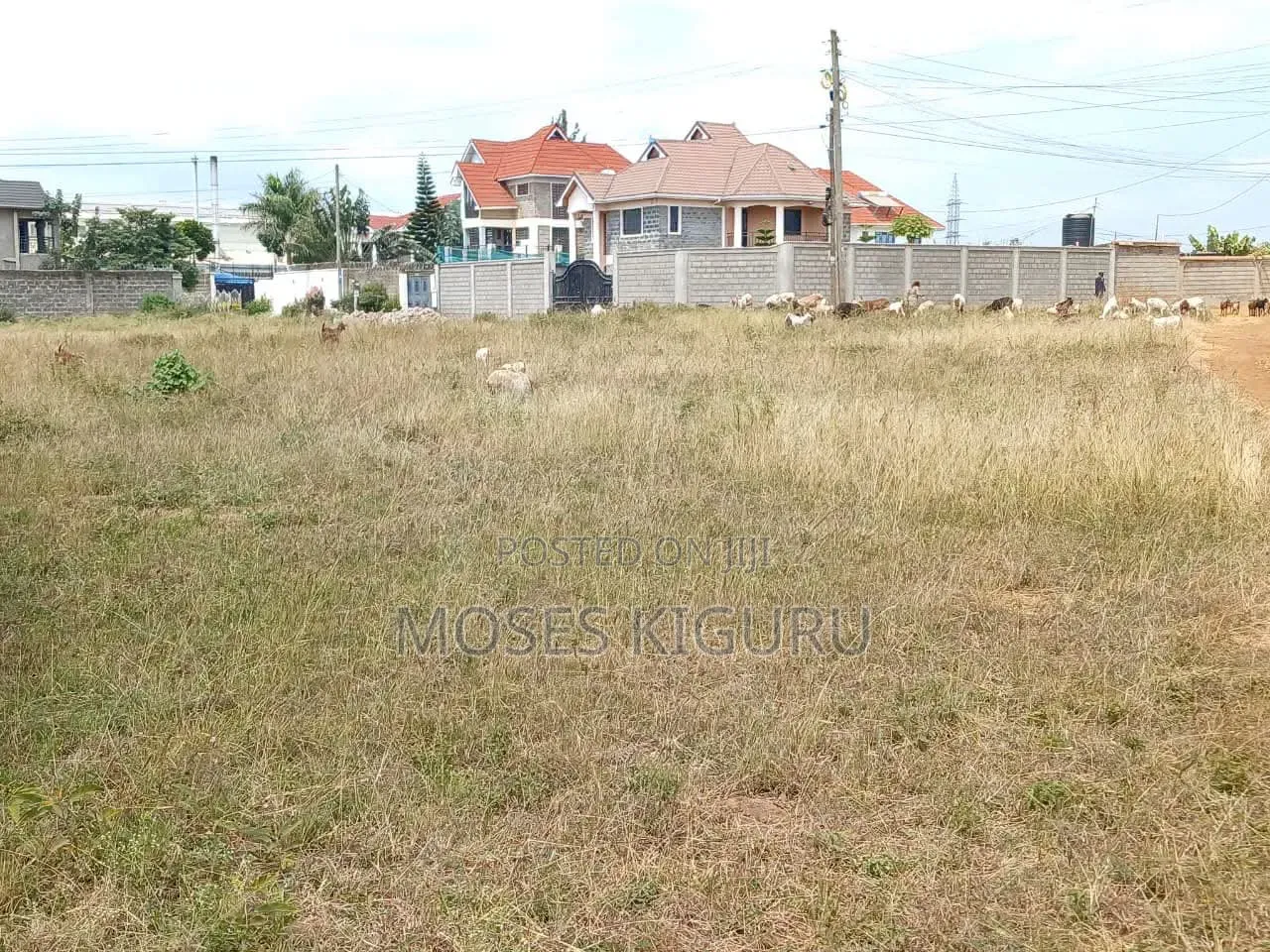 Tola Estate, Behind Mangu High School, 50x100 Plots. in Ngoingwa Estate
