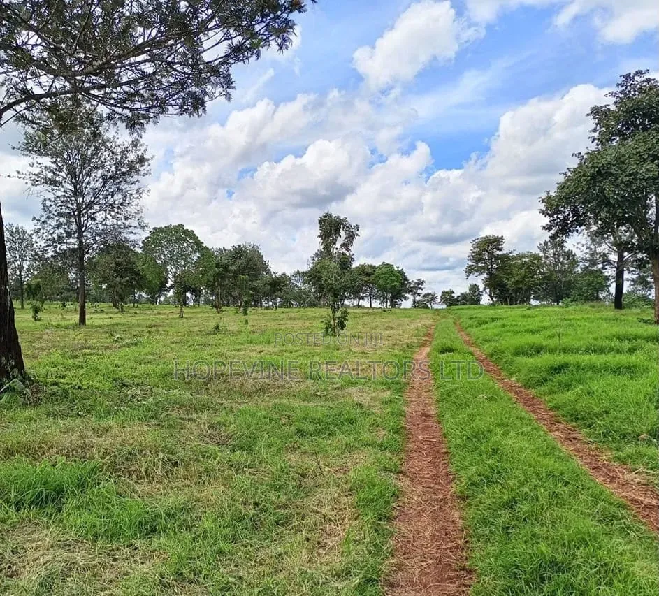 Land for Sale in Tilisi ( 4 and 1/2 Acres) in Limuru CBD