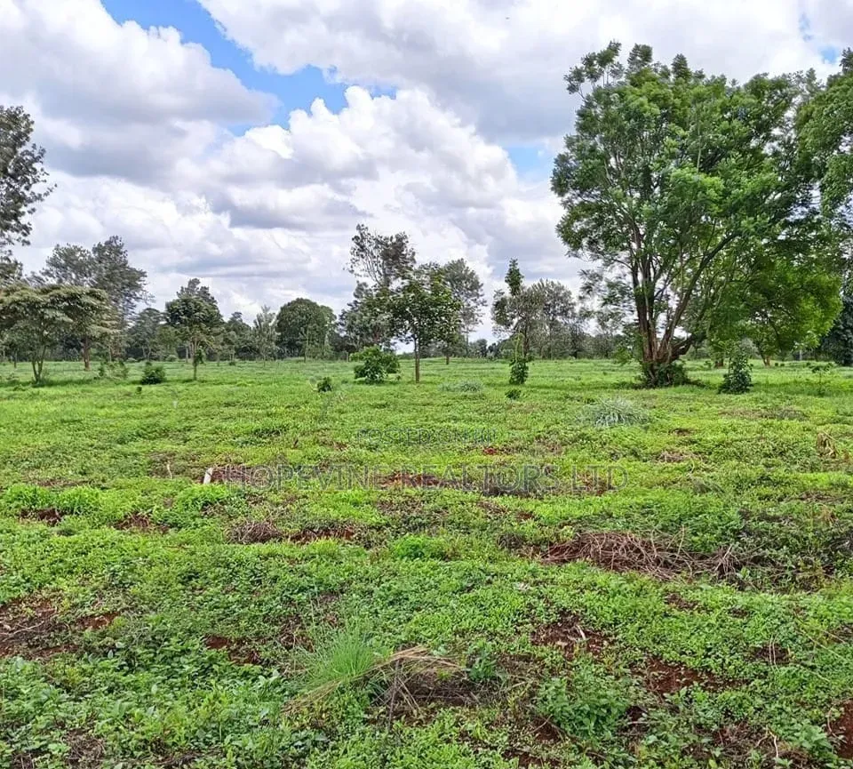 Land for Sale in Tilisi ( 4 and 1/2 Acres) in Limuru CBD