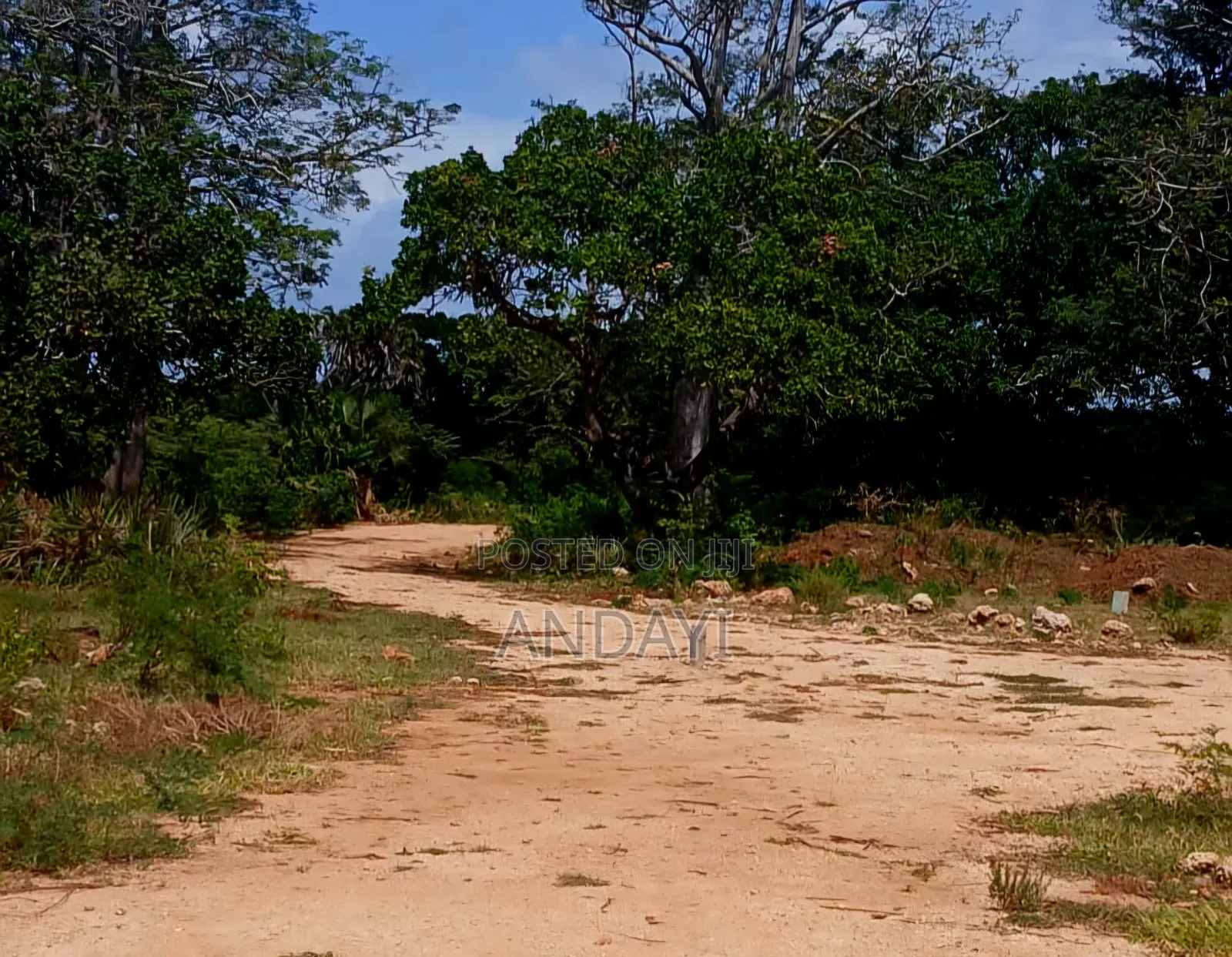 Prime Plots for Sale, Vipingo in Vipingo