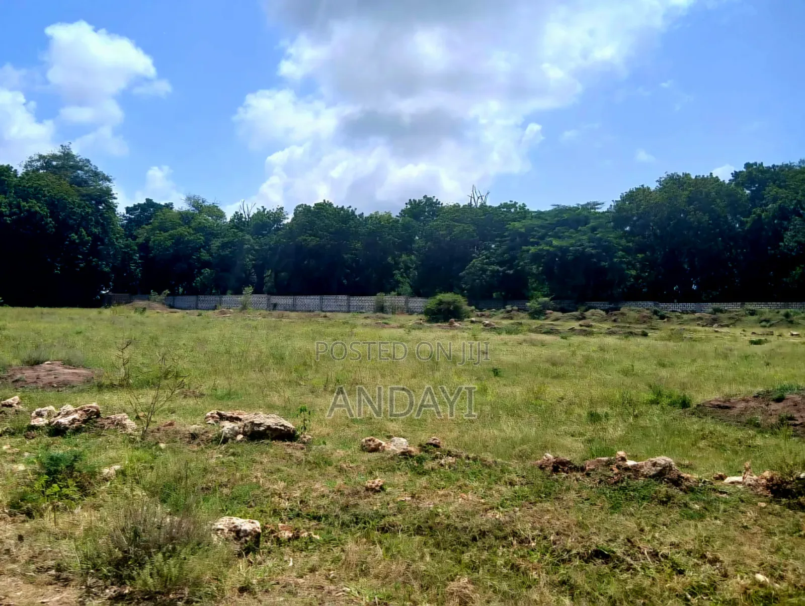 Prime Plots for Sale, Vipingo in Vipingo