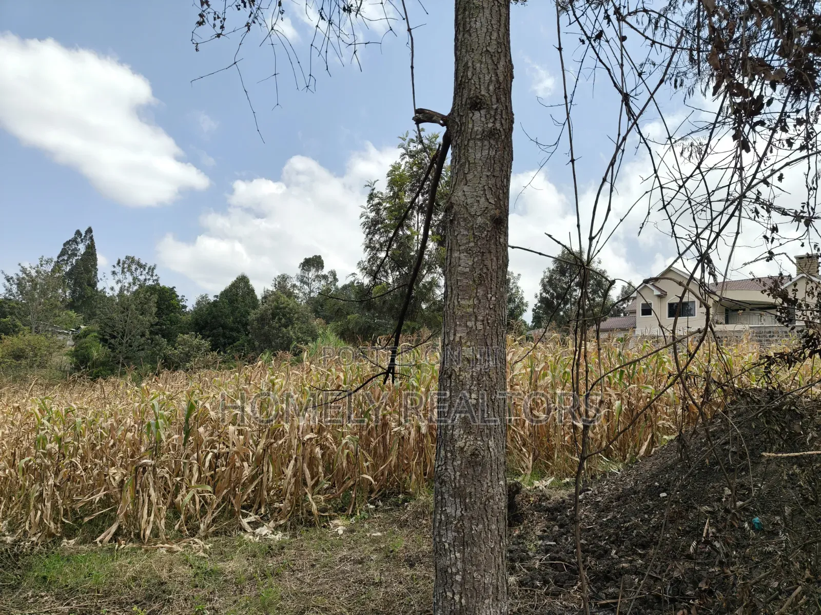 Prime Residential Quarter Acre Plot for Sale in Olkeri, Ngong in Ol Keri