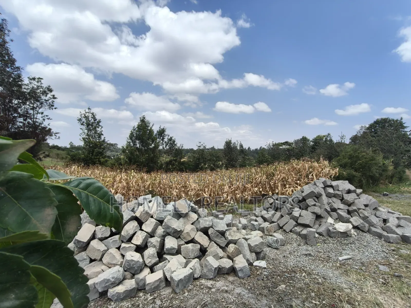Prime Residential Quarter Acre Plot for Sale in Olkeri, Ngong in Ol Keri