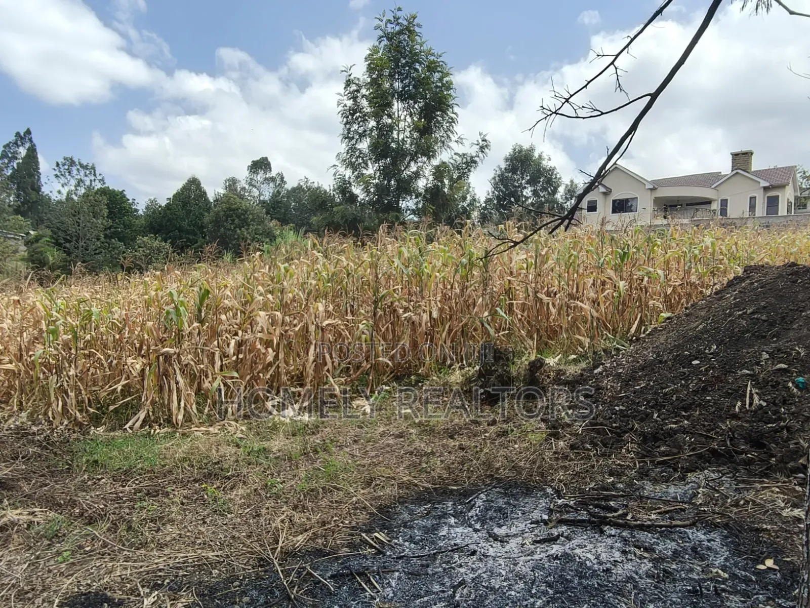 Prime Residential Quarter Acre Plot for Sale in Olkeri, Ngong in Ol Keri