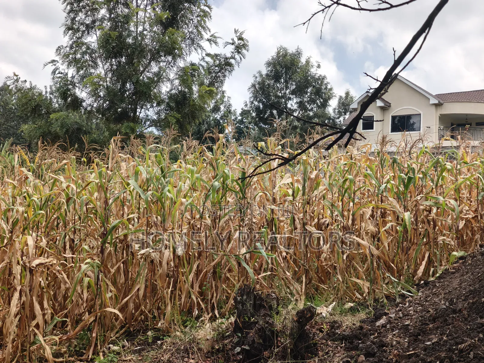 Prime Residential Quarter Acre Plot for Sale in Olkeri, Ngong in Ol Keri